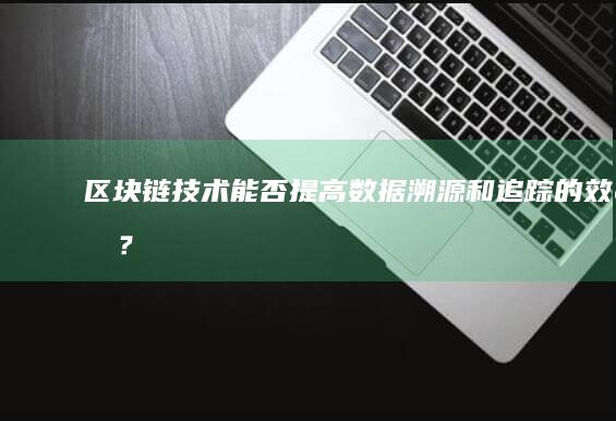 区块链技术能否提高数据溯源和追踪的效率？